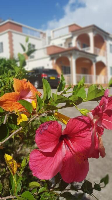 St. George'S Holiday Studio Vacation Of A Lifetime Fontenoy Εξωτερικό φωτογραφία